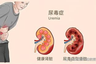 半岛手机体育下载官网地址在哪截图1